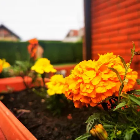 Sleep & Go Апартаменты